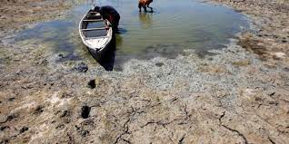 بعد جفاف الأهوار.. الخطر يهدد التنوع الأحيائي في ميسان