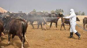 الصحة تعلن ارتفاع اصابات ووفيات الحمى النزفية