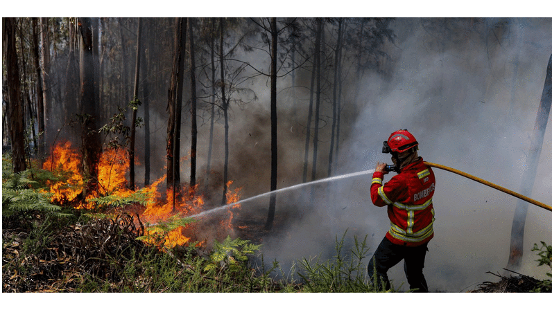 موجة حر تجتاح أوروبا وتؤجج حرائق الغابات