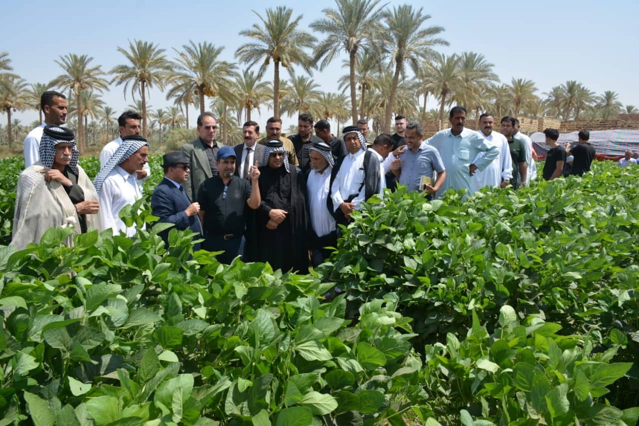 مشاهدة حقلية حول زراعة محصول فول الصويا في كربلاء