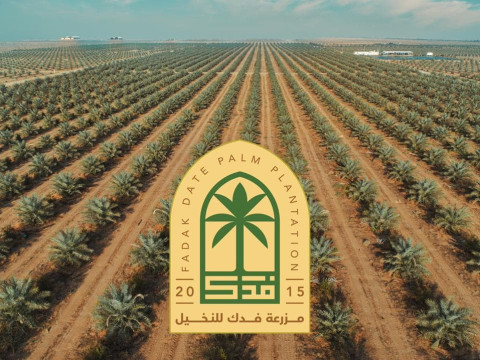 كربلاء:مزرعة فدك تسوق 60 طنا لـ90 صنفا من التمور الى الاسواق