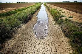 خبير: 3000 أسرة نزحت من 8 محافظات عراقية بسبب الجفاف والتدهور البيئي