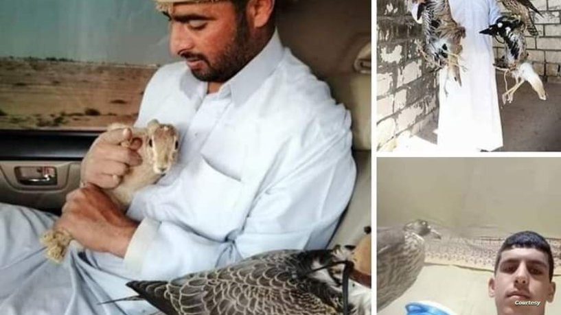 قتلهم الجوع والعطش.. مأساة 3 مصريين من عائلة واحدة تاهوا في الصحراء