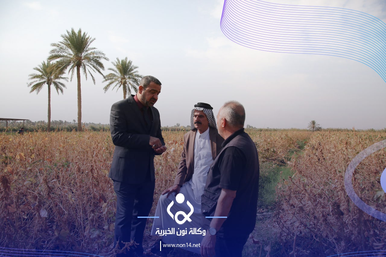 فيديو:محصول متعدد الفوائد وانتاجه غزير نجاح اول تجربة لزراعة فول الصويا في كربلاء المقدسة