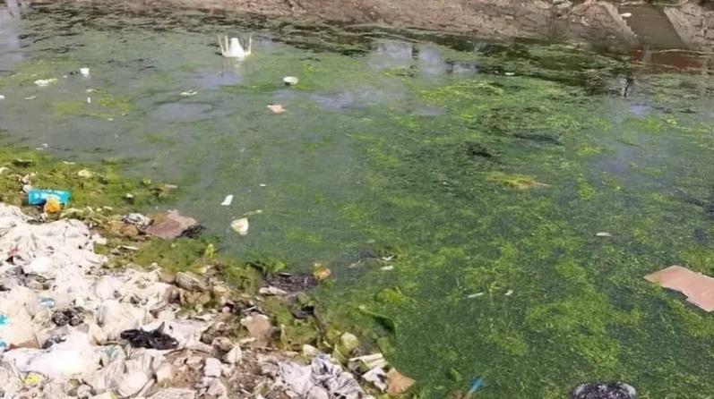 أوبئة تهدد عرشه.. صور نفايات ومياه آسنة تملأ رافداً من دجلة