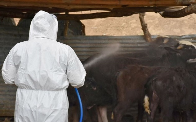 الصحة: نسبة وفيات الحمى النزفية في العراق لا تزال أقل من المعدل العالمي