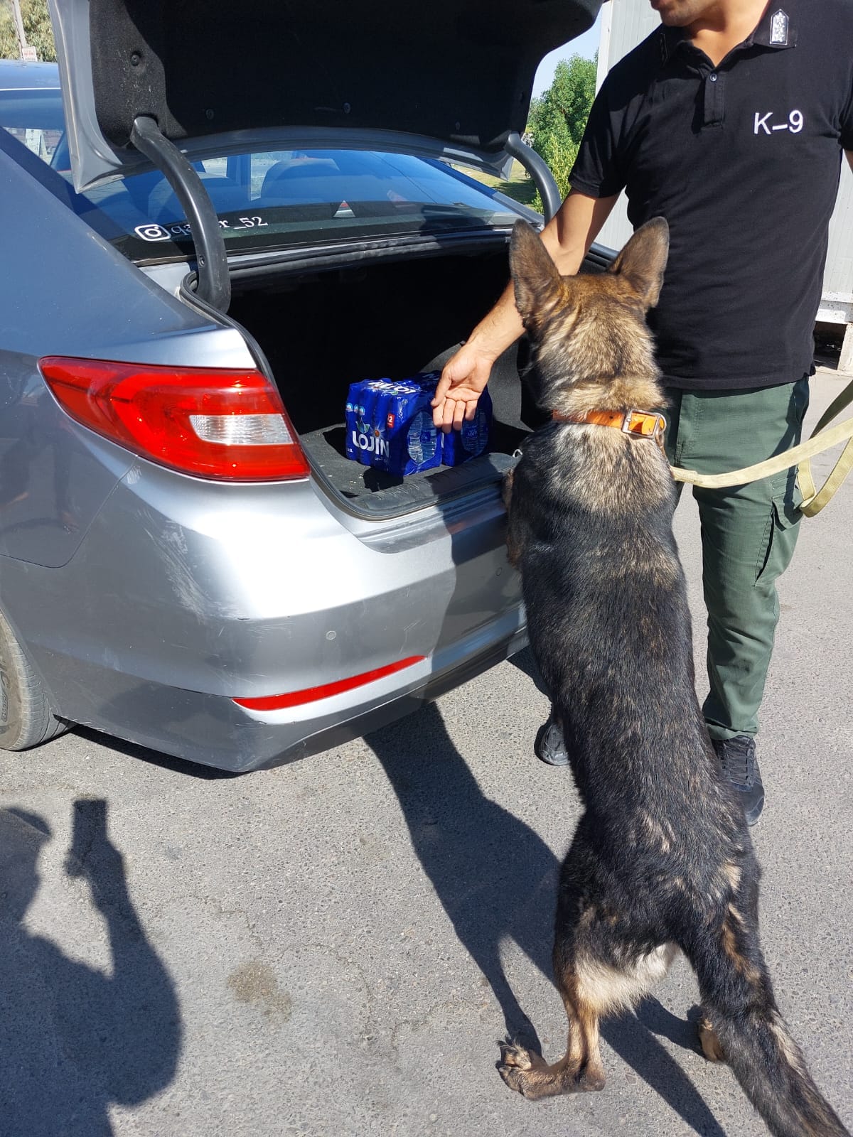 كربلاء:مفارز (K9 ) تواصل واجباتها اليومية بتفيش العجلات في السيطرات الخارجية للمحافظة