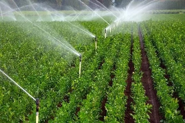 ايران تؤكد على استعدادها لتزويد العراق بخبراتها حول طرق الري الحديثة