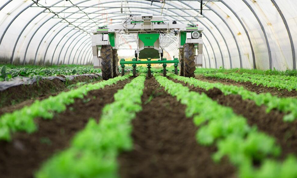 أسمدة زراعية فاسدة مسرطنة في لبنان… وإخبارٌ من نائب!