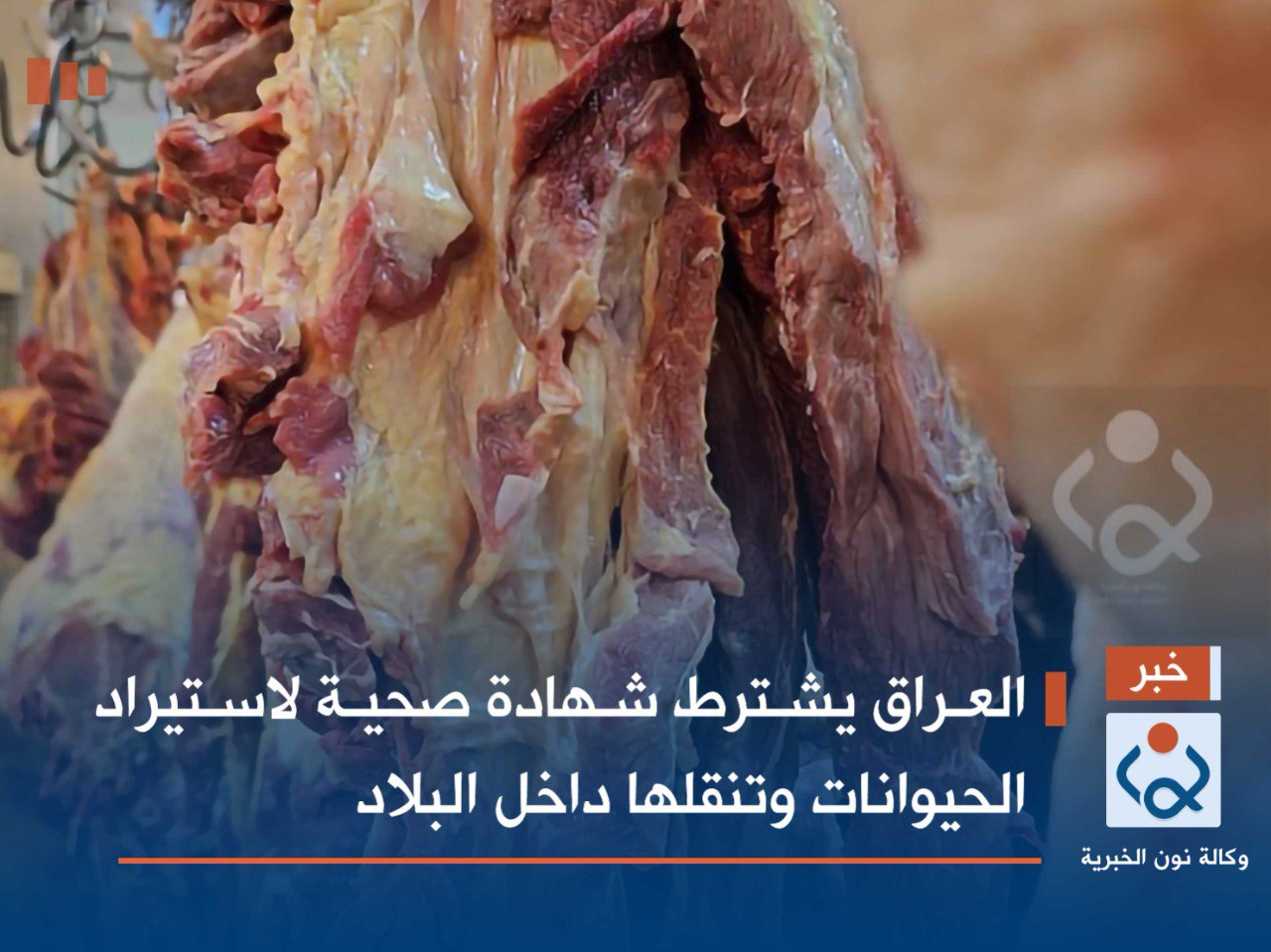 العراق يشترط شهادة صحية لاستيراد الحيوانات وتنقلها داخل البلاد