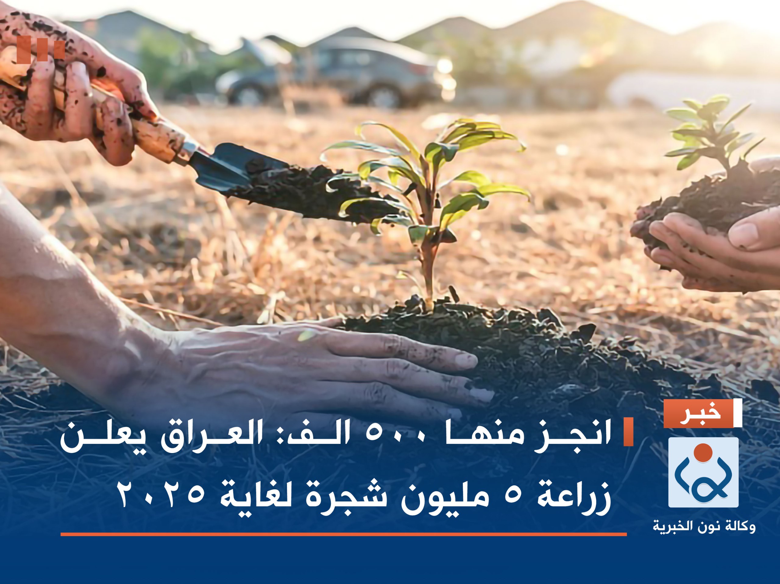 انجز منها 500 الف:العراق يعلن زراعة 5 مليون شجرة لغاية 2025