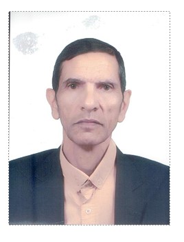 العولمة .. (وطرزانات) الشهرة-شهرة( الفسيل)