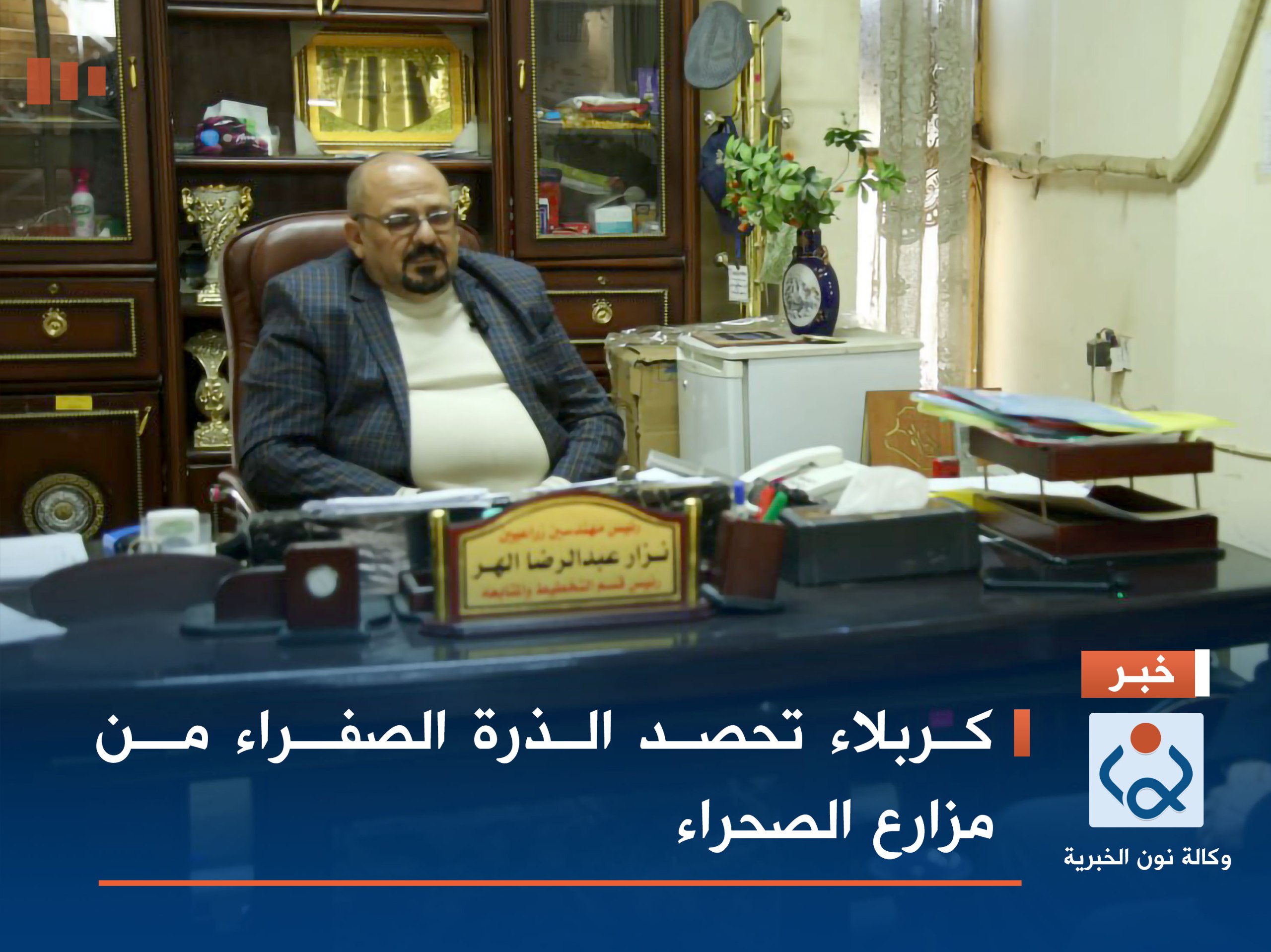 كربلاء تحصد الذرة الصفراء من مزارع الصحراء