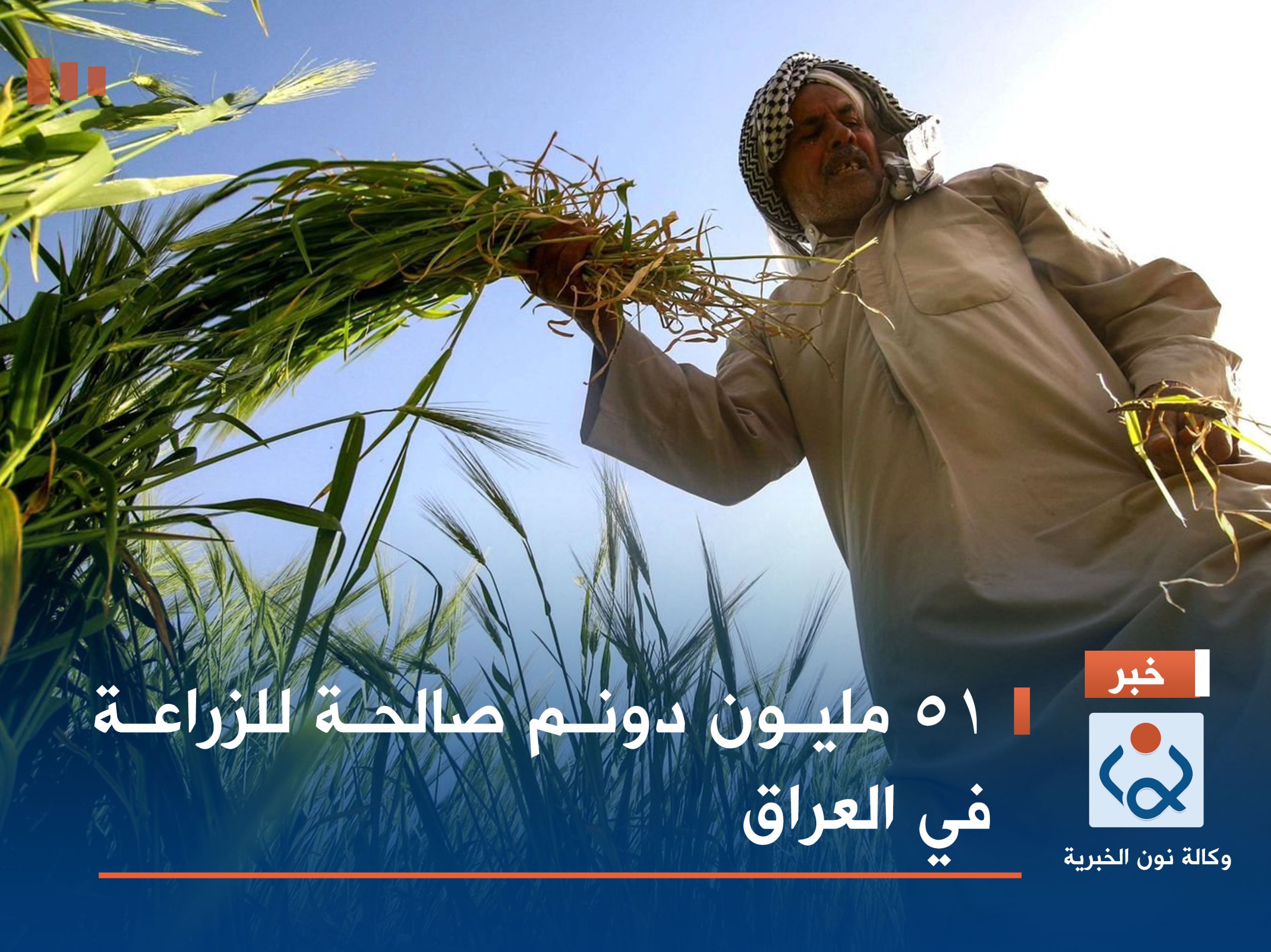 51 مليون دونم صالحة للزراعة في العراق