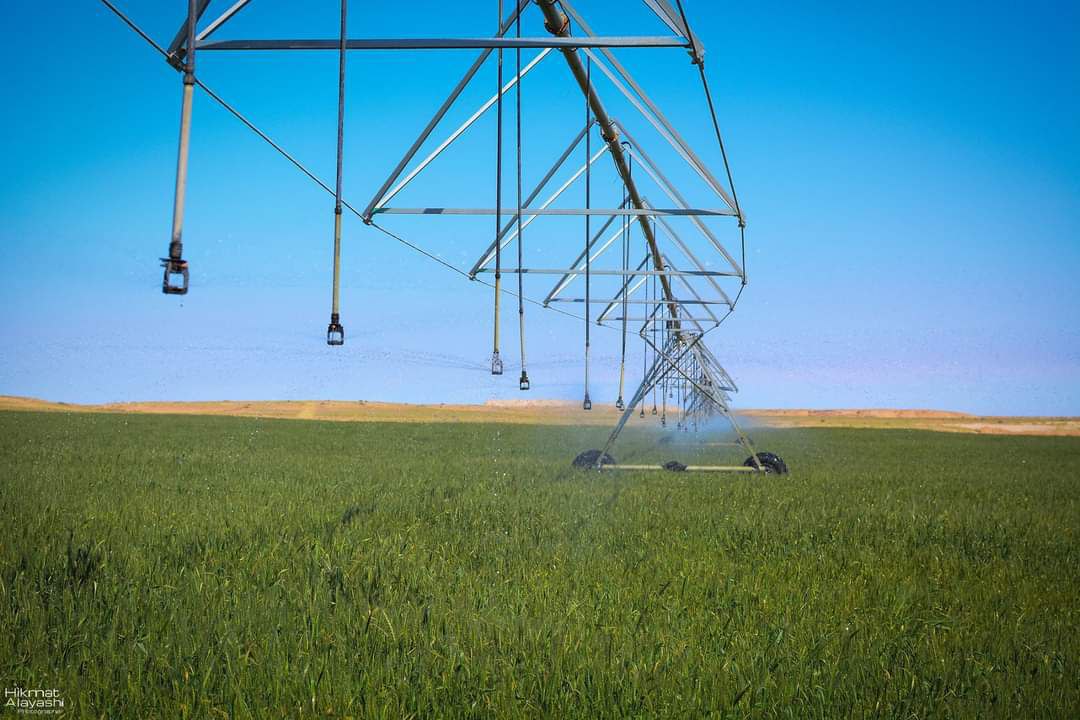 حققت الاكتفاء الذاتي بالحنطة والخضار.. زراعة كربلاء: المرشات المحورية المستخدمة في المحافظة اكثر من الفي مرشة