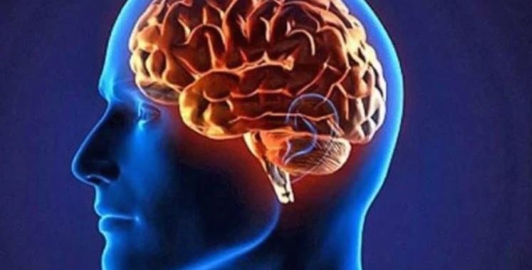 دراسة ألمانية: أدمغة الناطقين بـ”اللغة العربية” أقوى من باقي الأدمغة