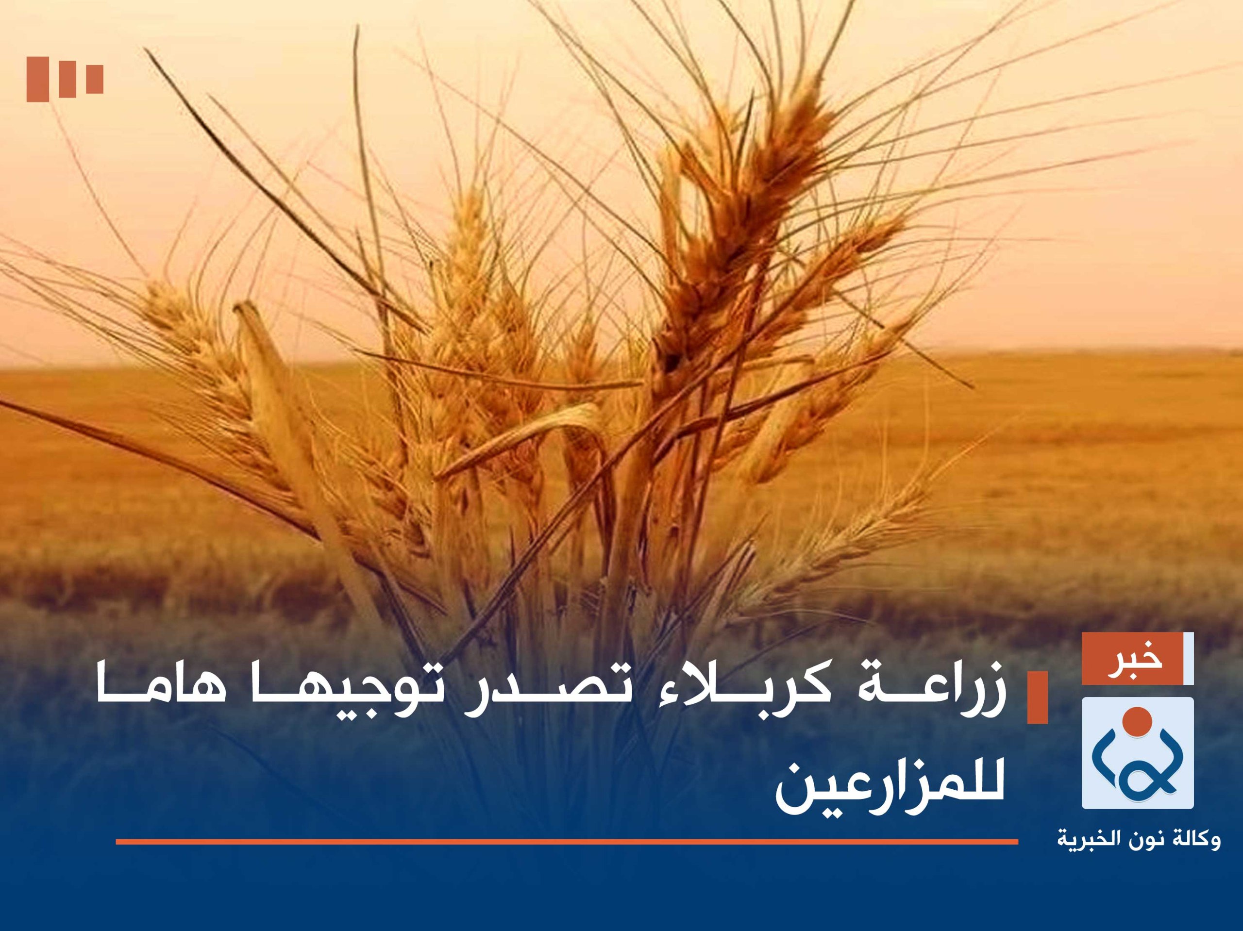 زراعة كربلاء تصدر توجيها هاما للمزارعين