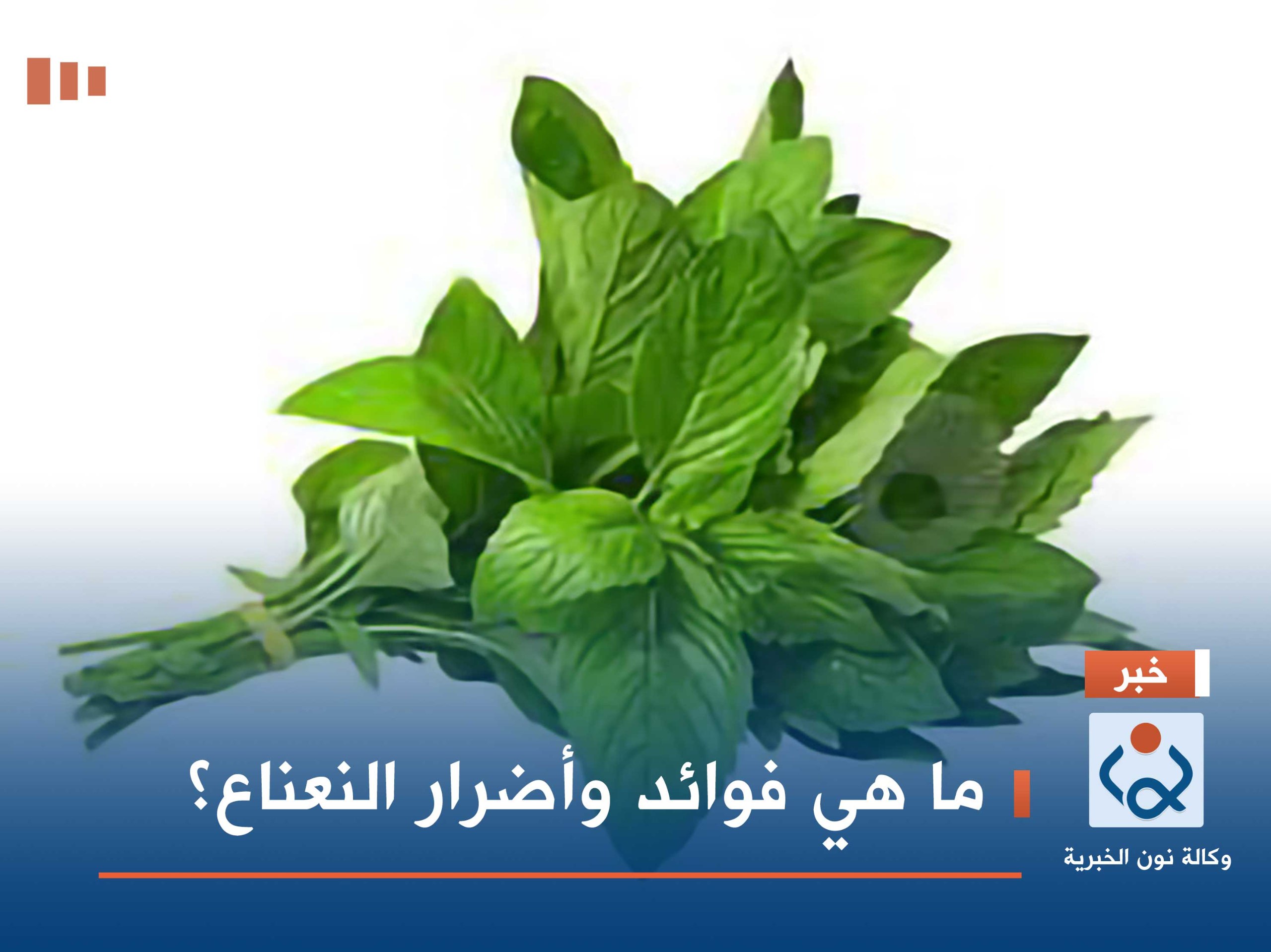 ما هي فوائد وأضرار النعناع؟