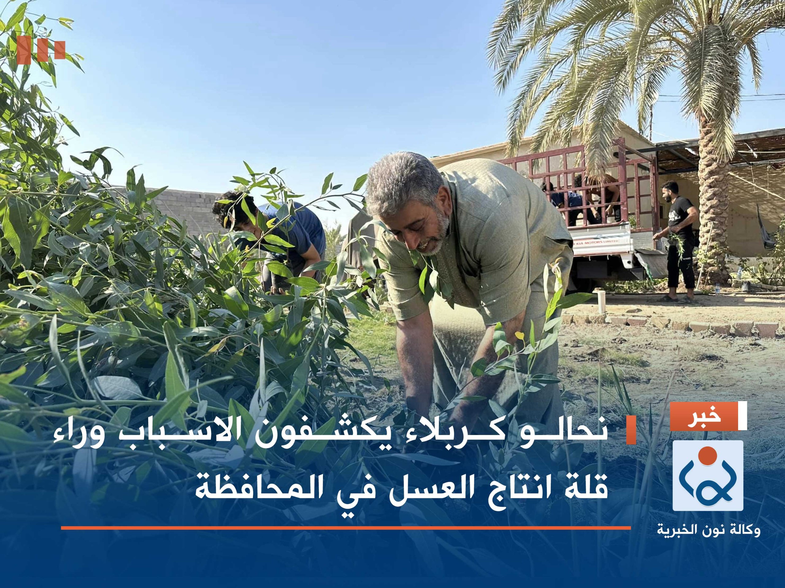 نحالو كربلاء يكشفون الاسباب وراء قلة انتاج العسل في المحافظة