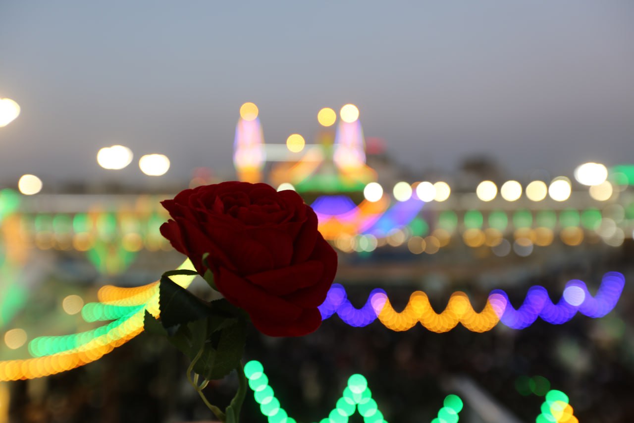 تقرير مصور:ملايين الزائرين يحيون ليلة النصف من شعبان في كربلاء المقدسة