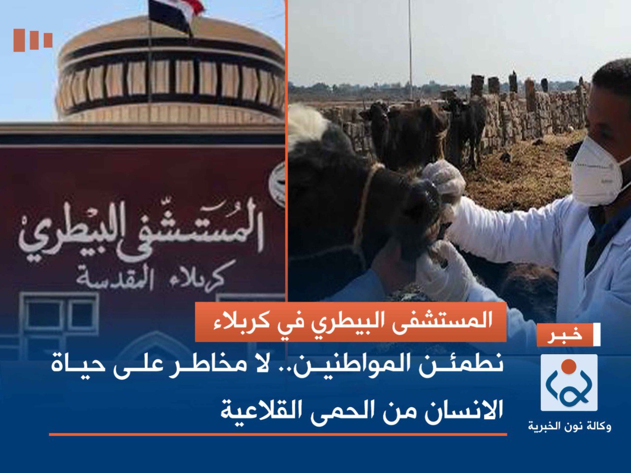 المستشفى البيطري في كربلاء.. نطمئن المواطنين.. لا مخاطر على حياة الانسان من الحمى القلاعية(فيديو)