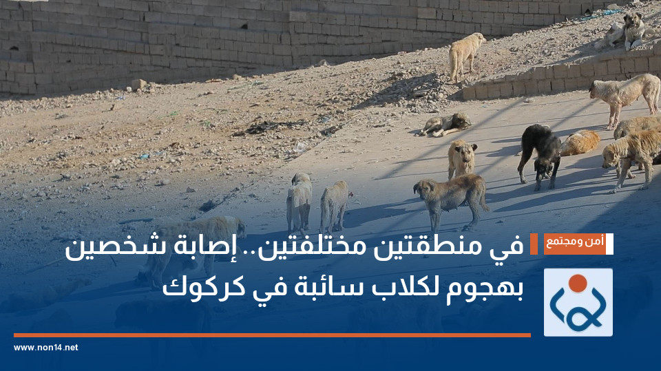 في منطقتين مختلفتين.. إصابة شخصين بهجوم لكلاب سائبة في كركوك