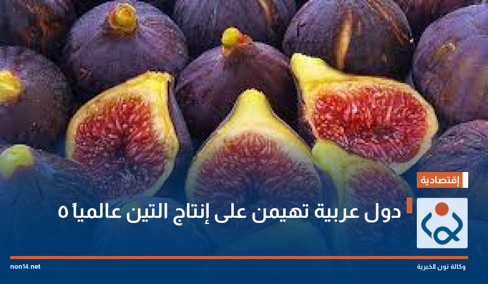 5 دول عربية تهيمن على إنتاج التين عالمياً