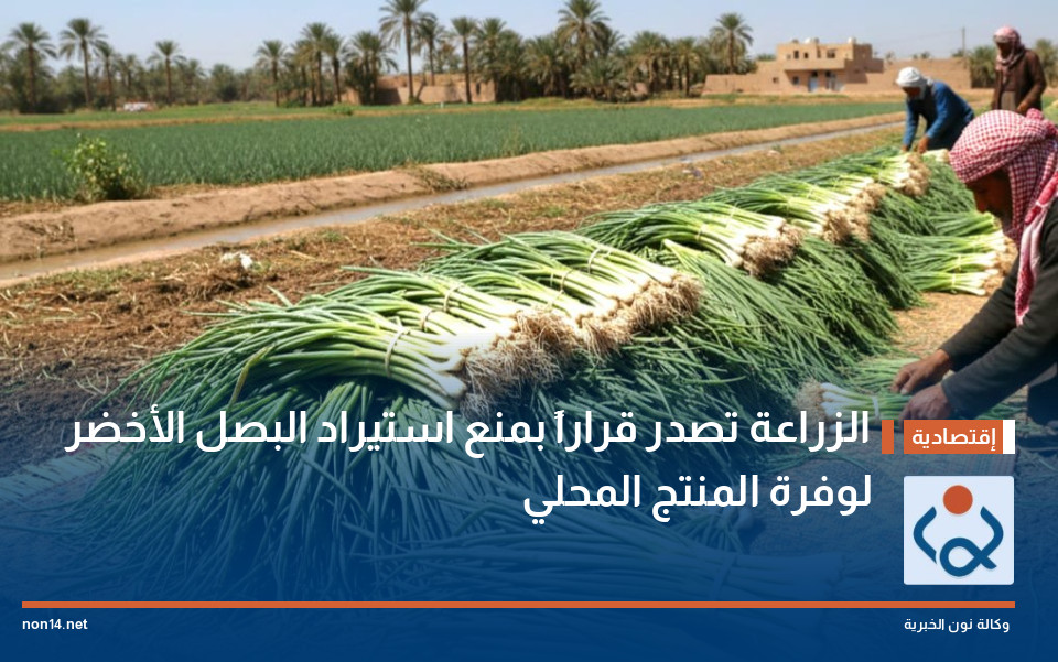 الزراعة تصدر قراراً بمنع استيراد البصل الأخضر لوفرة المنتج المحلي