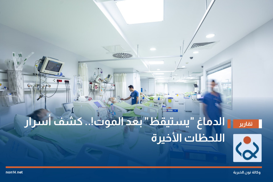 الدماغ "يستيقظ" بعد الموت!.. كشف أسرار اللحظات الأخيرة