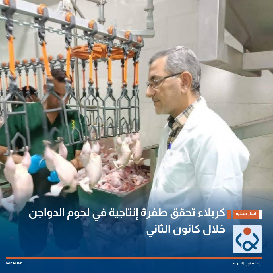 كربلاء تحقق طفرة إنتاجية في لحوم الدواجن خلال كانون الثاني