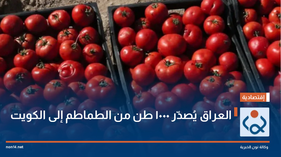 العراق يُصدّر 1000 طن من الطماطم إلى الكويت