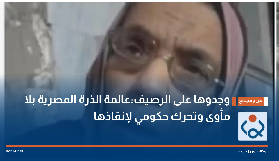 وجدوها على الرصيف:عالمة الذرة المصرية بلا مأوى وتحرك حكومي لإنقاذها