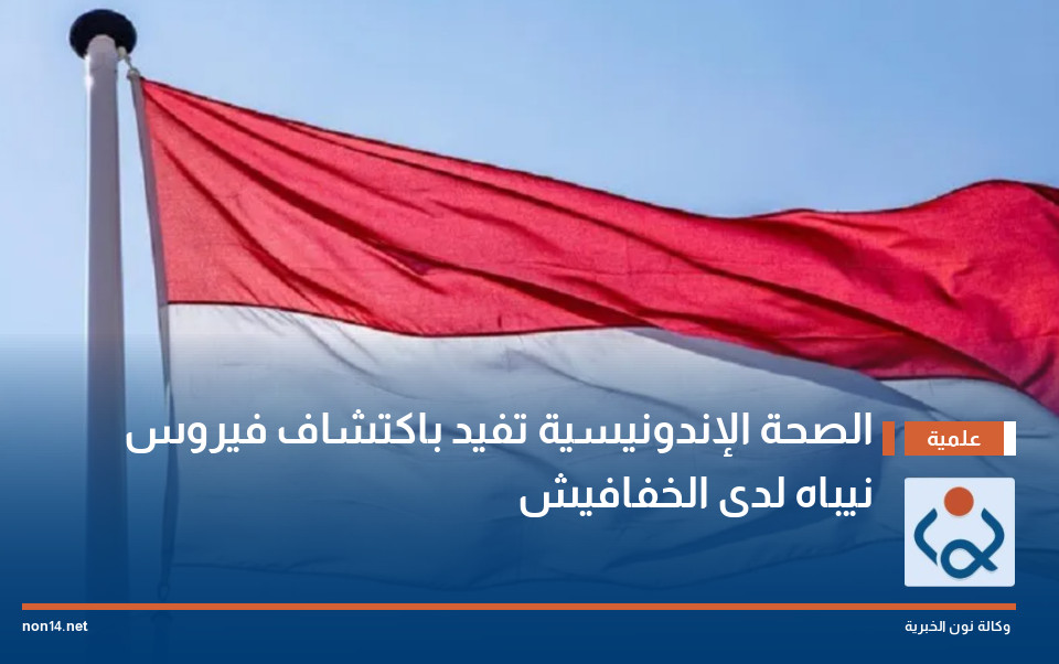 الصحة الإندونيسية تفيد باكتشاف فيروس نيباه لدى الخفافيش