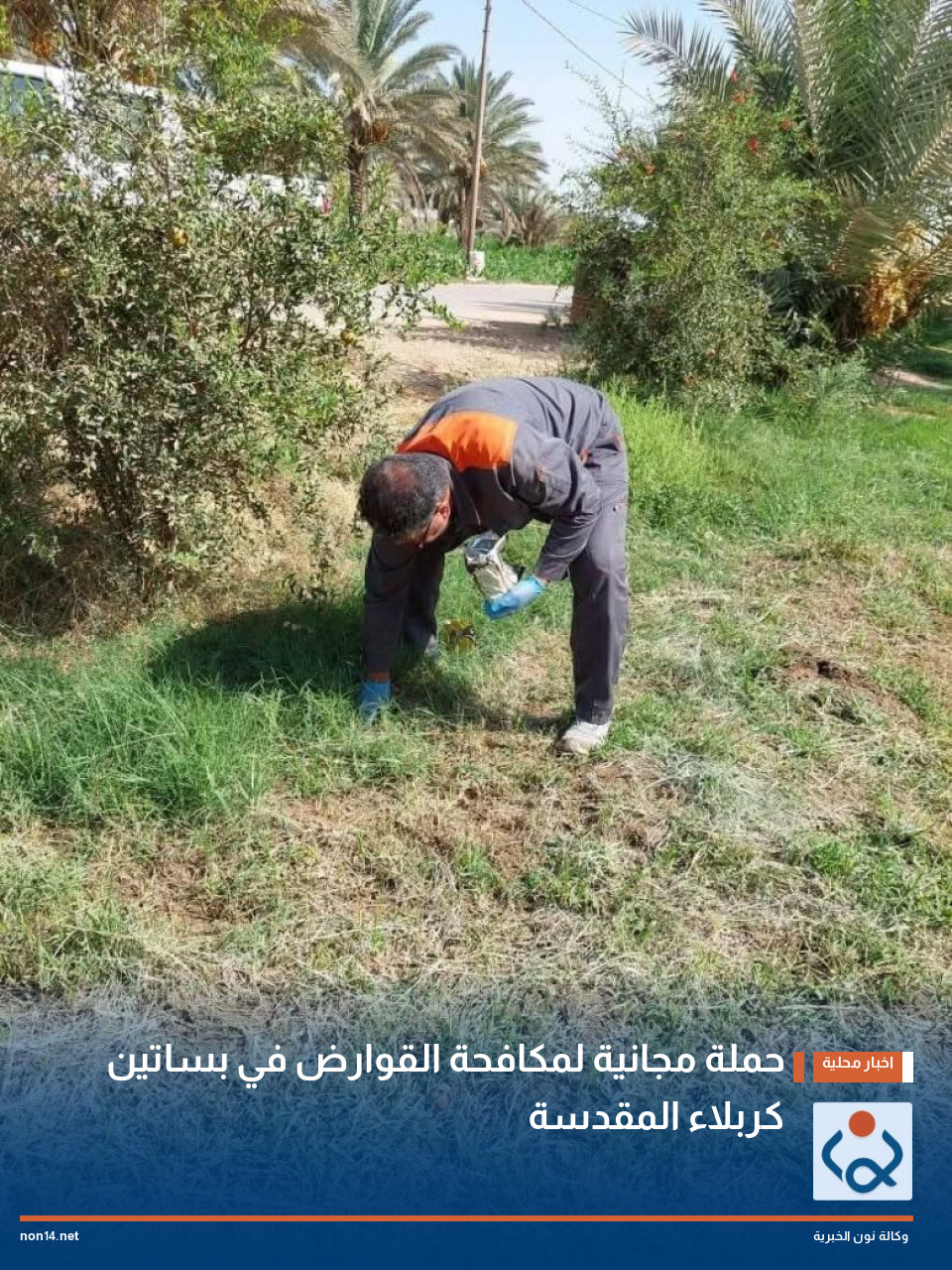 حملة مجانية لمكافحة القوارض في بساتين كربلاء المقدسة