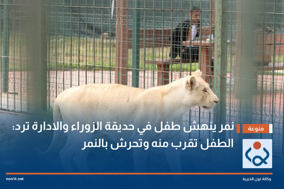 نمر ينهش طفل في حديقة الزوراء والادارة ترد: الطفل تقرب منه وتحرش بالنمر