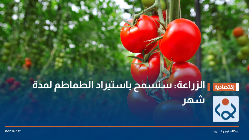 الزراعة: سنسمح باستيراد الطماطم لمدة شهر