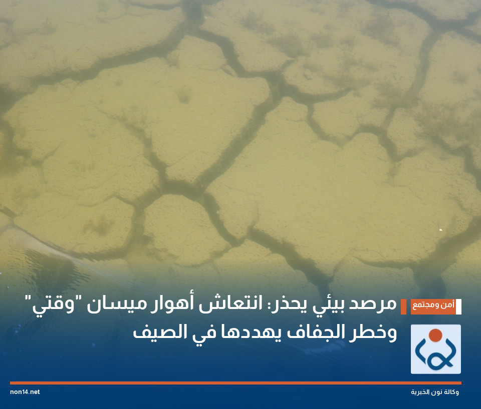 مرصد بيئي يحذر: انتعاش أهوار ميسان "وقتي" وخطر الجفاف يهددها في الصيف
