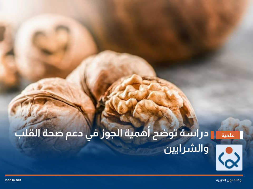 دراسة توضح أهمية الجوز في دعم صحة القلب والشرايين