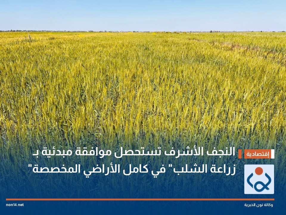 النجف الأشرف تستحصل موافقة مبدئية بـ "زراعة الشلب" في كامل الأراضي المخصصة