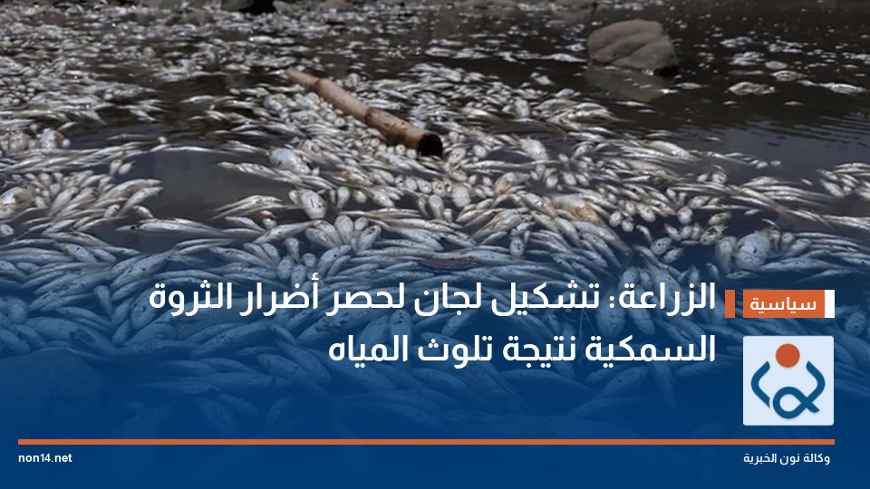 الزراعة: تشكيل لجان لحصر أضرار الثروة السمكية نتيجة تلوث المياه