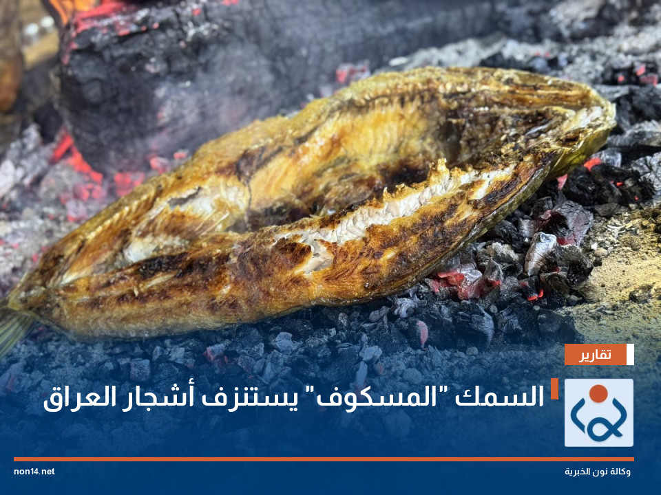 السمك "المسكوف" يستنزف أشجار العراق