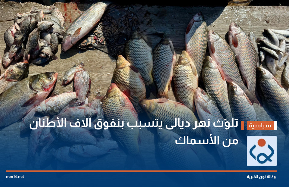 تلوّث نهر ديالى يتسبب بنفوق آلاف الأطنان من الأسماك