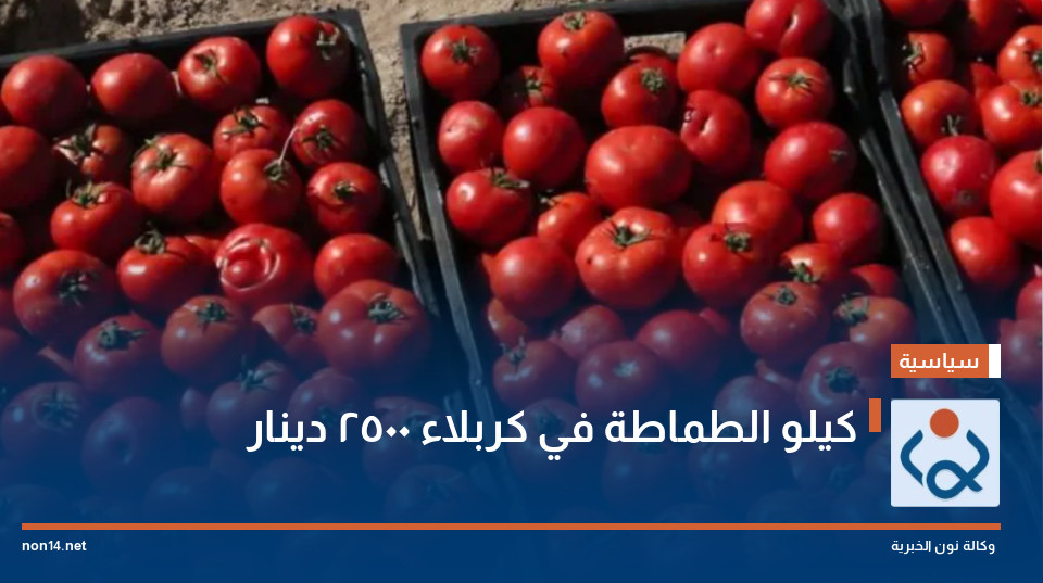 كيلو الطماطة في كربلاء 2500 دينار