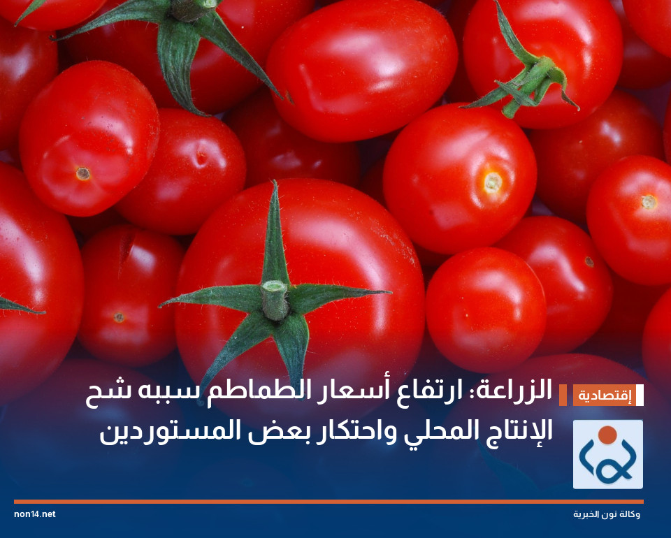 الزراعة: ارتفاع أسعار الطماطم سببه شح الإنتاج المحلي واحتكار بعض المستوردين