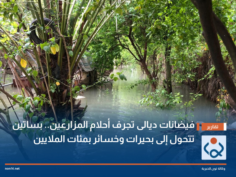 فيضانات ديالى تجرف أحلام المزارعين.. بساتين تتحول إلى بحيرات وخسائر بمئات الملايين