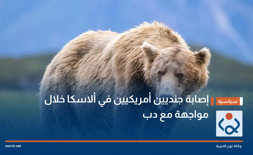 إصابة جنديين أمريكيين في ألاسكا خلال مواجهة مع دب