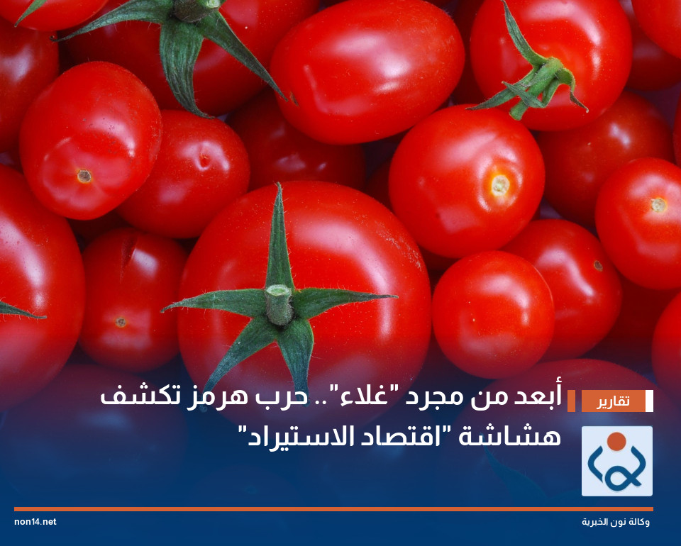 أبعد من مجرد "غلاء".. حرب هرمز تكشف هشاشة "اقتصاد الاستيراد"