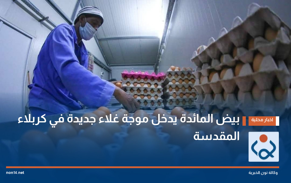 بيض المائدة يدخل موجة غلاء جديدة في كربلاء المقدسة