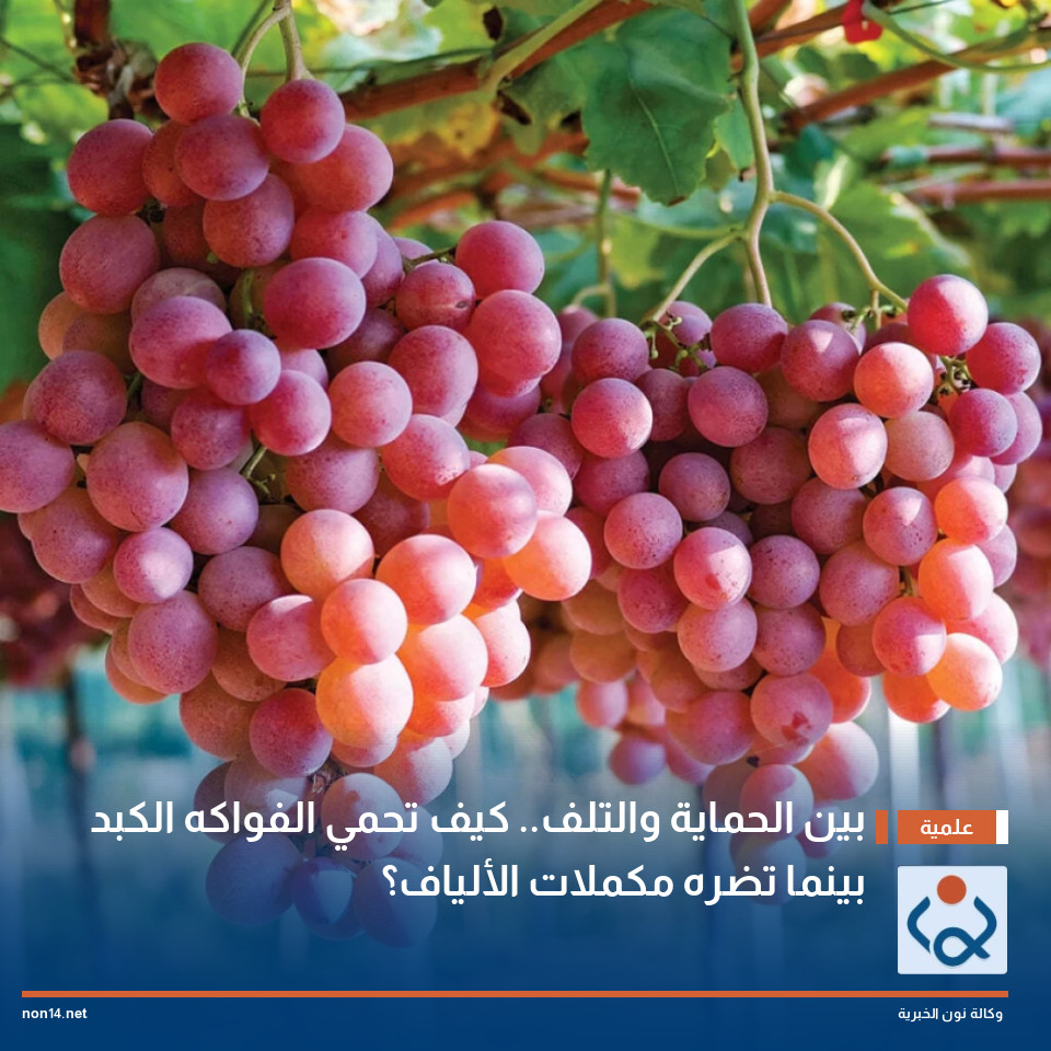 بين الحماية والتلف.. كيف تحمي الفواكه الكبد بينما تضره مكملات الألياف؟