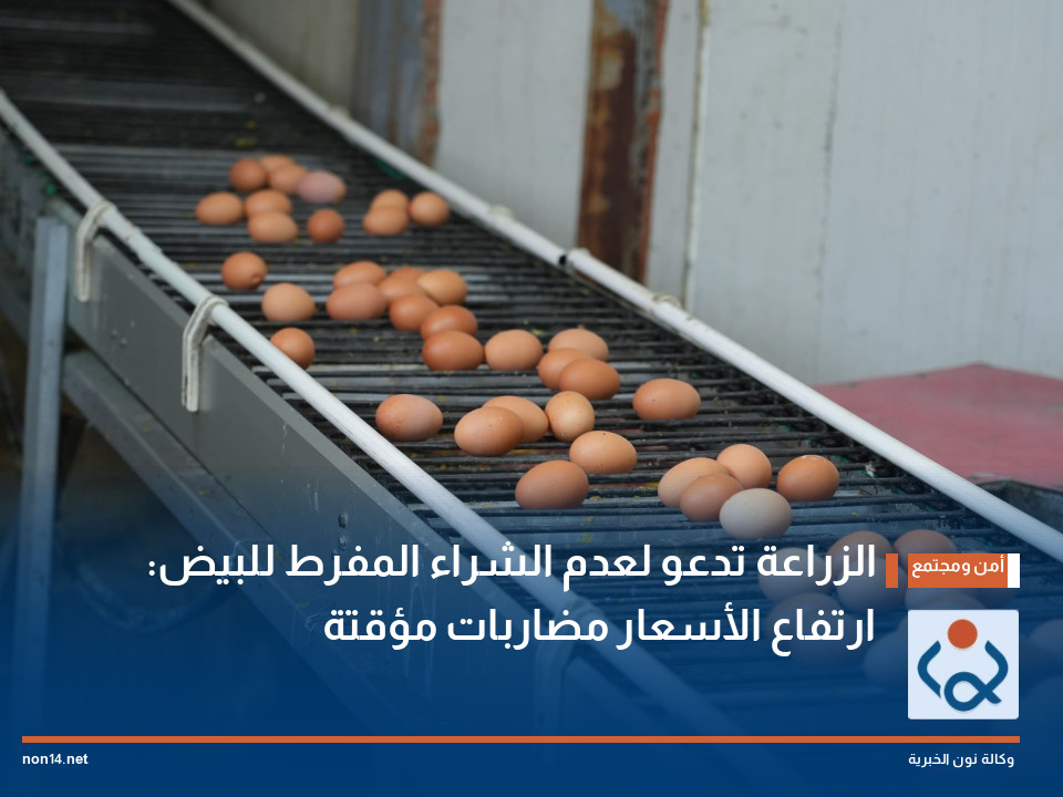 الزراعة تدعو لعدم الشراء المفرط للبيض: ارتفاع الأسعار مضاربات مؤقتة